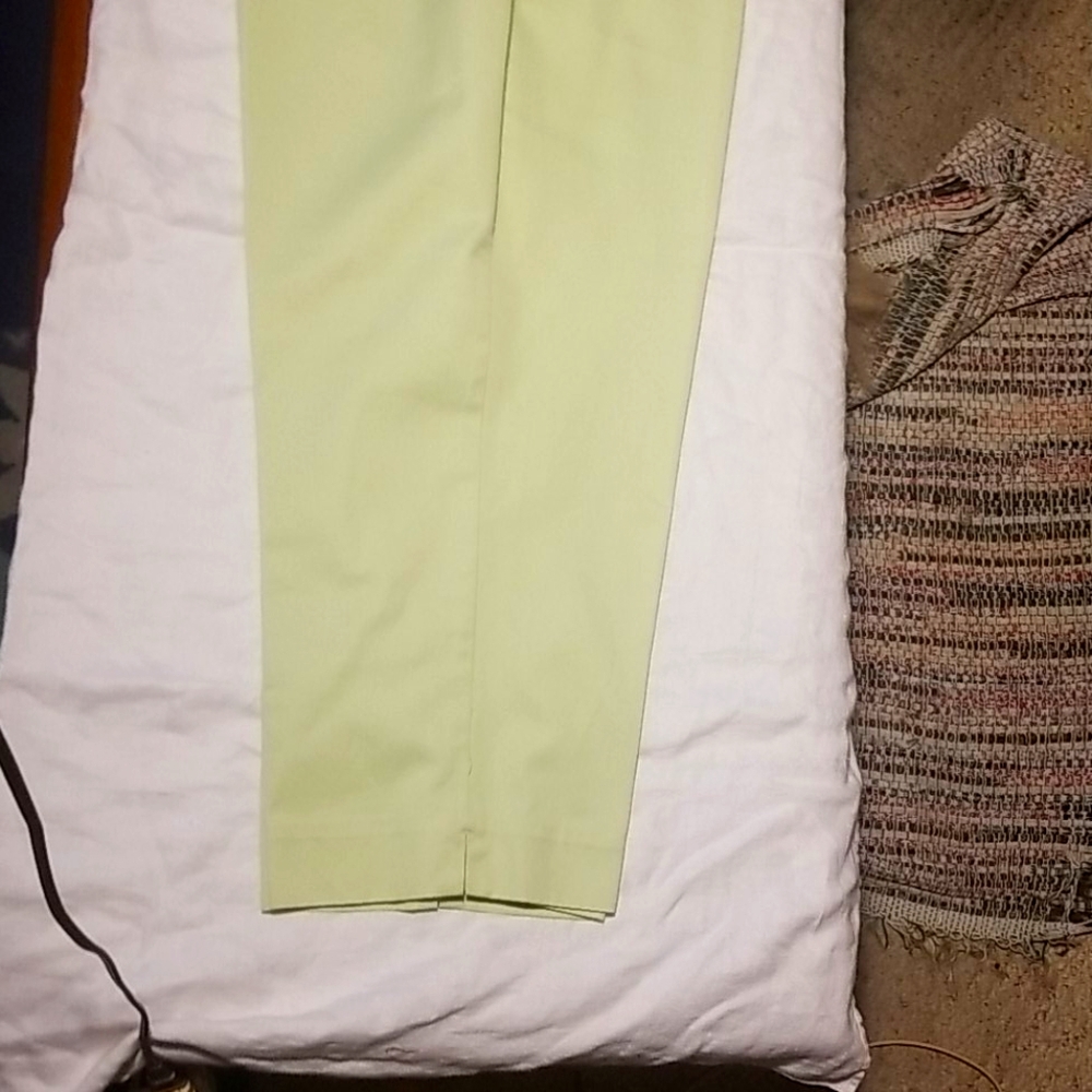 Nwot! CJ Banks capris